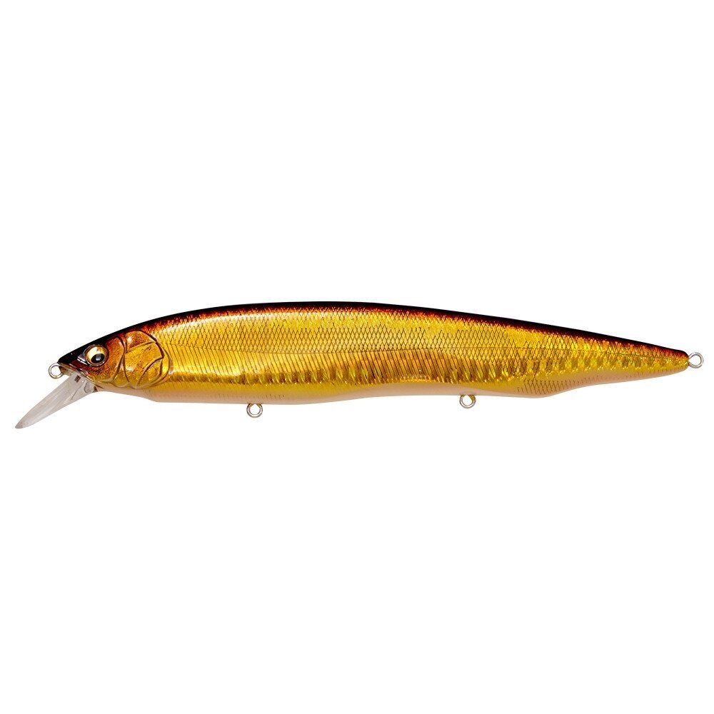 Megabass Kanata SW 6