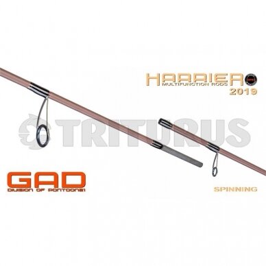 GAD Harrier Casting 3 GAD Harrier Casting 3