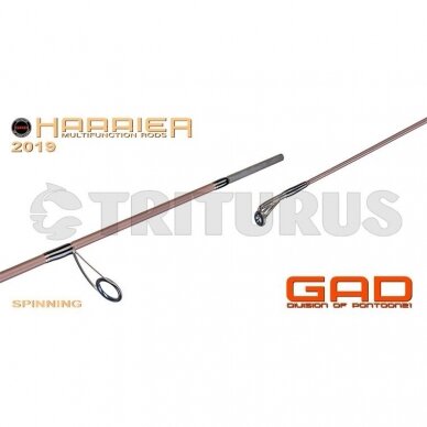 GAD Harrier Casting 4 GAD Harrier Casting 4