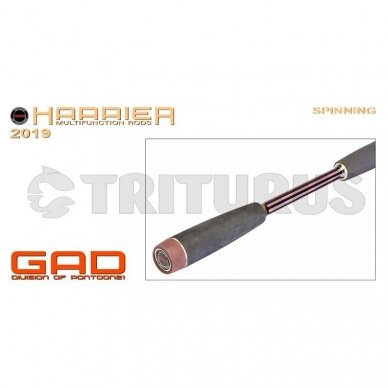 GAD Harrier Casting 5 GAD Harrier Casting 5