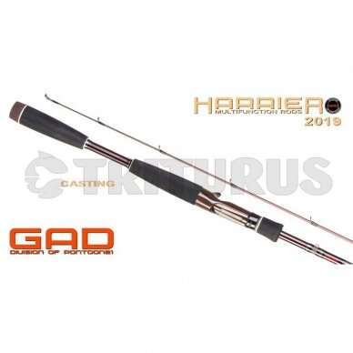 GAD Harrier Casting 6 GAD Harrier Casting 6