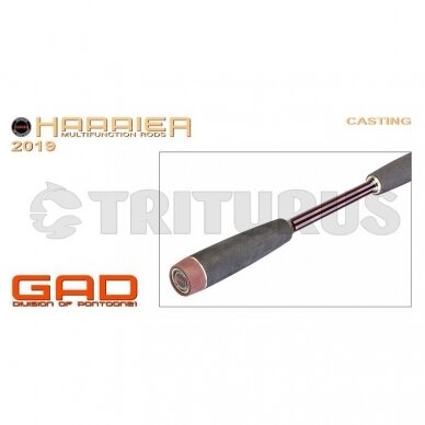 GAD Harrier Casting 8 GAD Harrier Casting 8