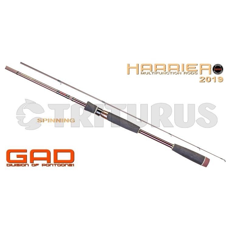 GAD Harrier Casting 2 GAD Harrier Casting 2