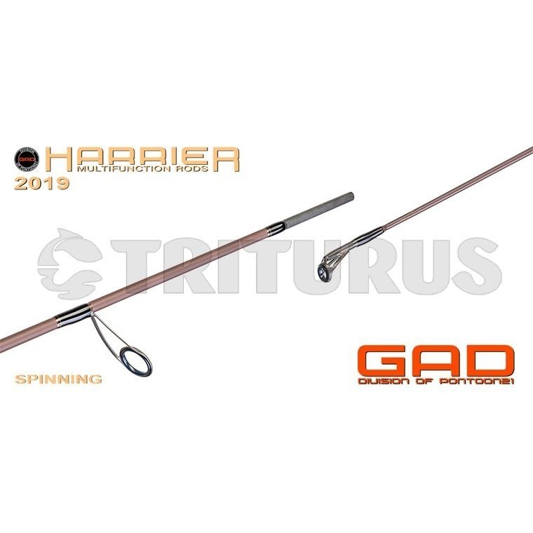 GAD Harrier Casting 4 GAD Harrier Casting 4