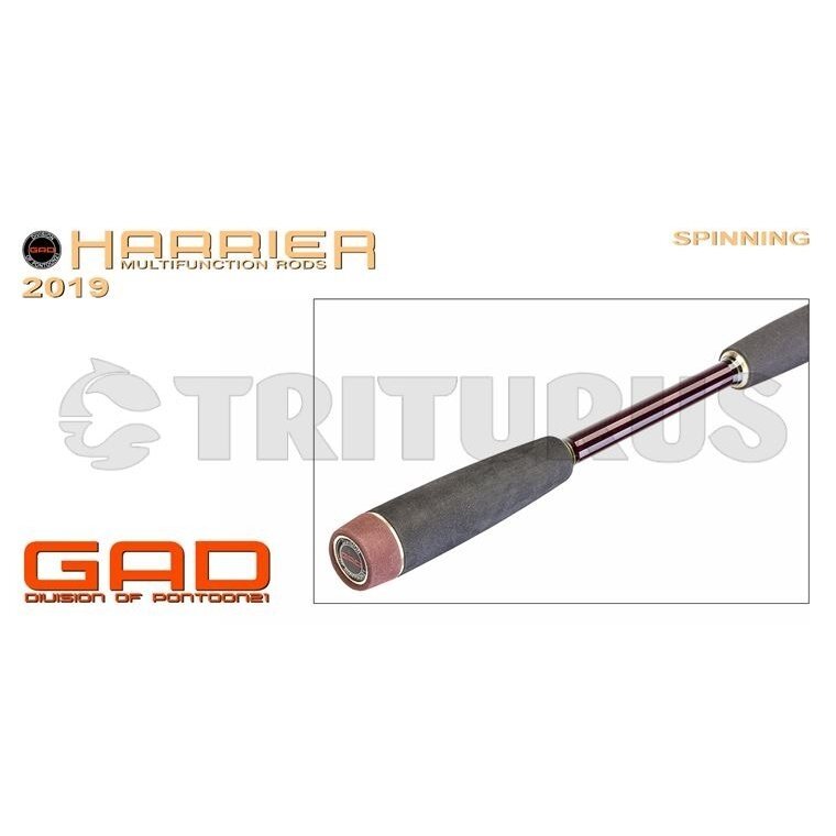 GAD Harrier Casting 5 GAD Harrier Casting 5