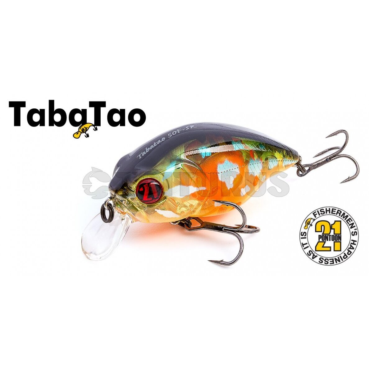 Pontoon21 TabaTao 50F-SR 2