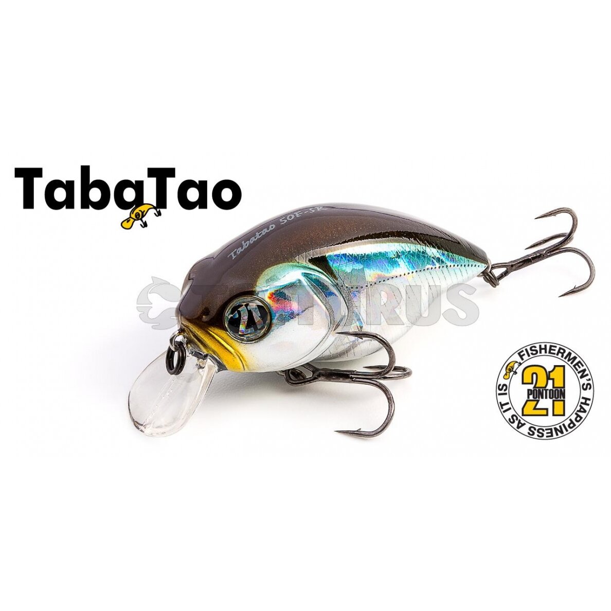 Pontoon21 TabaTao 50F-SR 3