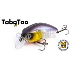 Pontoon21 TabaTao 50F-MDR