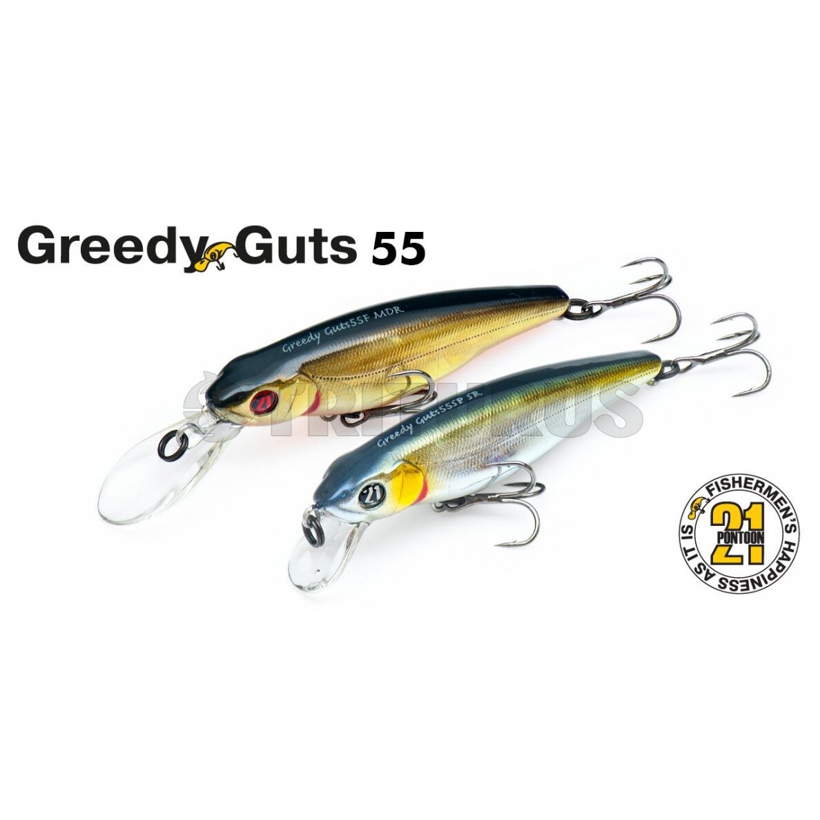 Pontoon21 GreedyGuts 55SP-SR Pontoon21 GreedyGuts 55SP-SR