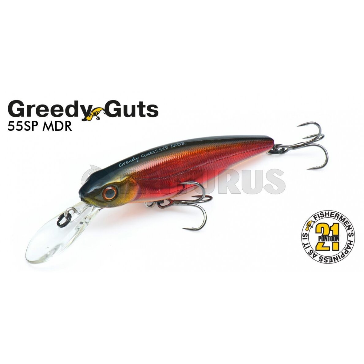 Pontoon21 GreedyGuts 55SP-SR 3