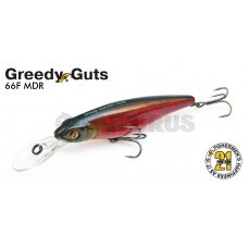 Pontoon21 GreedyGuts 66F-MDR