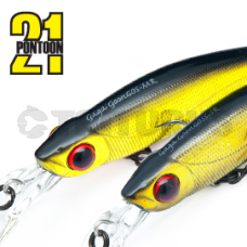Pontoon21 GagaGoon 60S-SR