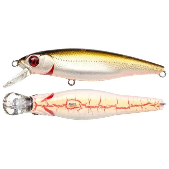 Pontoon21 GreedyGuts 55SP-SR 5