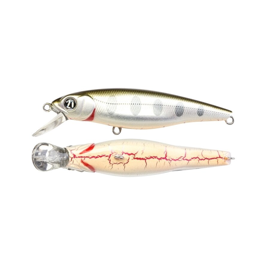 Pontoon21 GreedyGuts 55SP-SR Pontoon21 GreedyGuts 55SP-SR