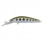 Bassday Sugar 2/3 Deep SG 85F Bassday Sugar 2/3 Deep SG 85F