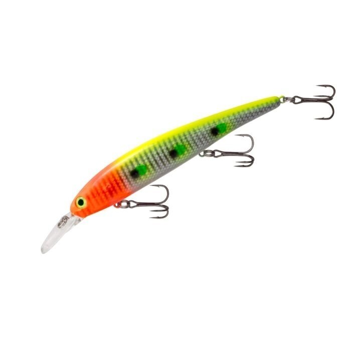 Bandit Walleye Shallow 3
