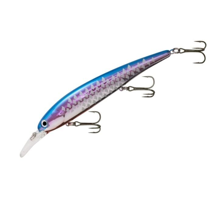 Bandit Walleye Shallow 4