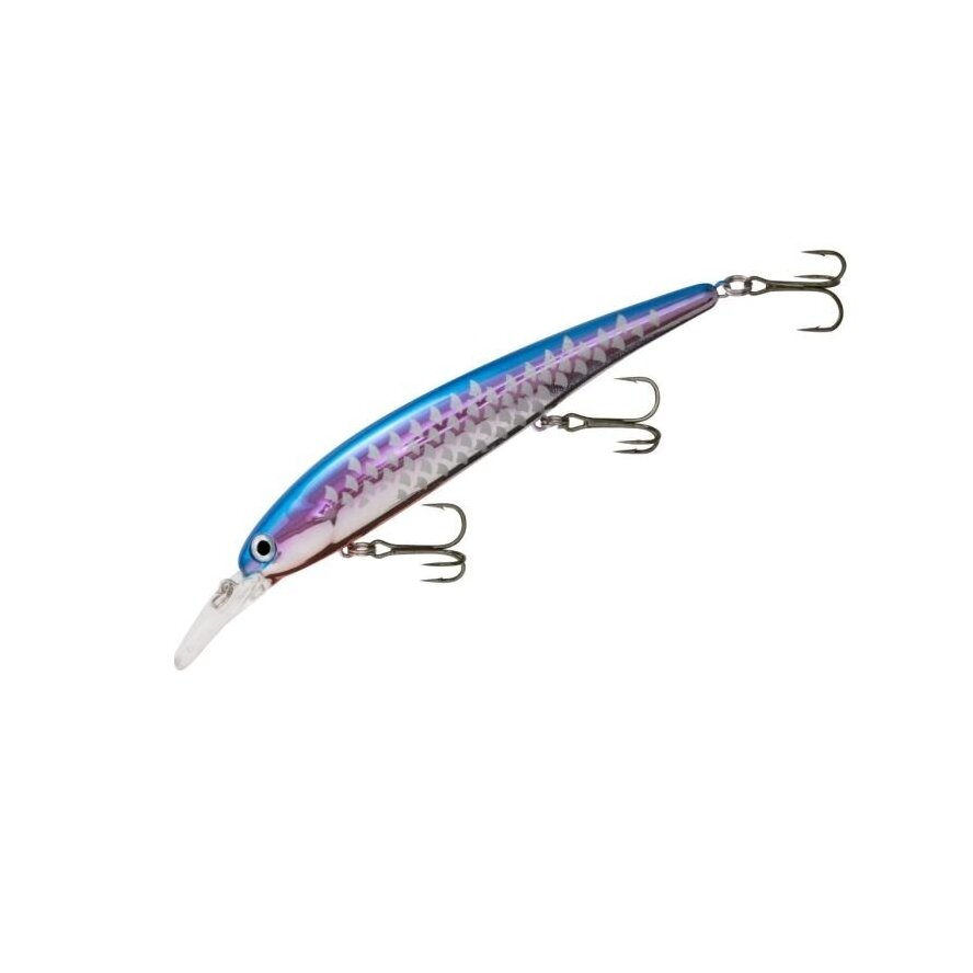 Bandit Walleye Shallow