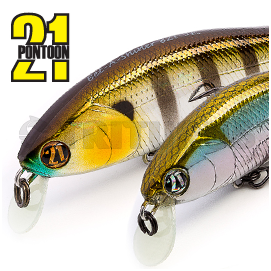 Pontoon21 BET-A-SHINER 91F-SR 1