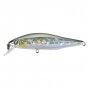 Pontoon21 Cheeky 80F-SR Pontoon21 Cheeky 80F-SR