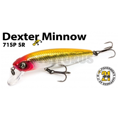 Dexter Minnow 93S-SR 5
