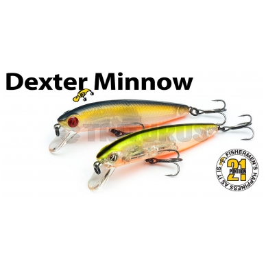 Dexter Minnow 93S-SR 2