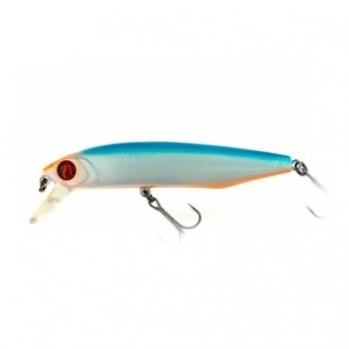 DEXTER MINNOW 93SP-SR 10