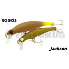 Jackson ROGOS 105