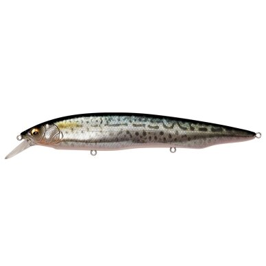 Megabass Kanata SW 160 мм 31 г плавающий воблер джеркбейт 8