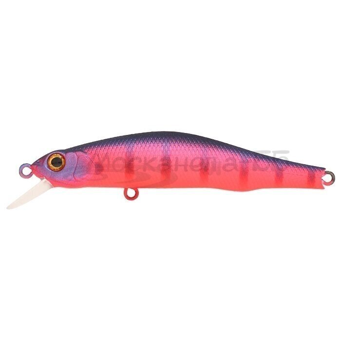 ZipBaits ORBIT 80SP SR 4
