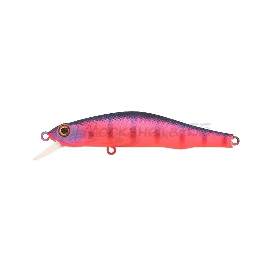 ZipBaits ORBIT 80SP SR