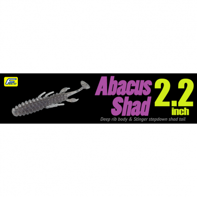 FLASH UNION ABACUS SHAD 2.2inch