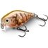 Rapala X-Light Crank Shallow Runner – воблер на голавля и язя 3,5 см 4 г Rapala X-Light Crank Shallow Runner – воблер на голавля и язя 3,5 см 4 г