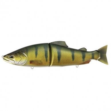 DUO Realis Onimasu 10