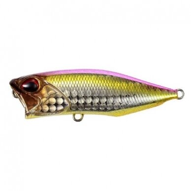 Realis Popper 64 SW LIMITED 1