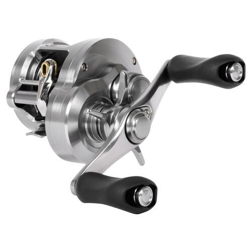 Shimano Calcutta Conquest DC A 201 PG LH 4,8:1 250 g – apvali multiplikatorinė ritė 2