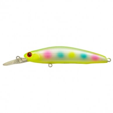 SUGAR MINNOW STREAM 4