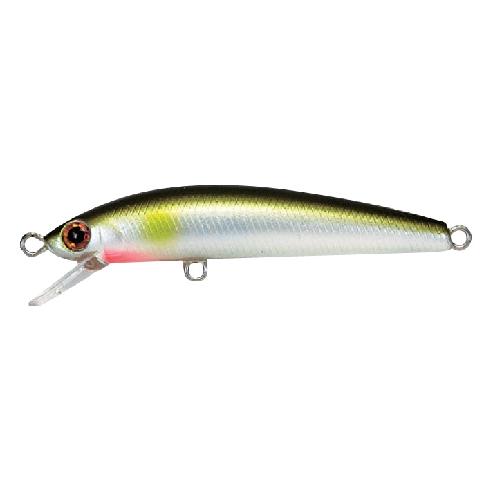 Bassday Sugar Minnow 50 8 Bassday Sugar Minnow 50 8