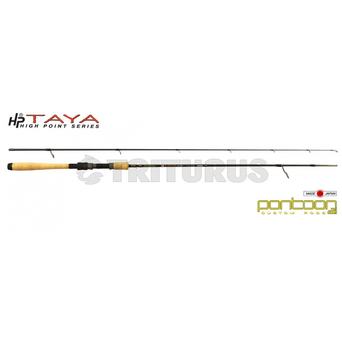 Pontoon21 Taya 2