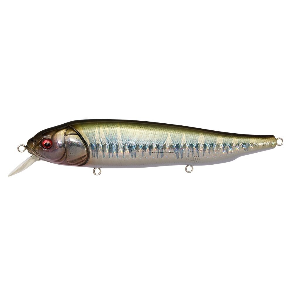 Megabass LATES Feeding Woofer 6 Megabass LATES Feeding Woofer 6